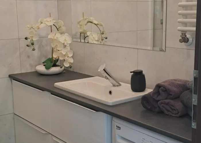 Apartament- Have A Day