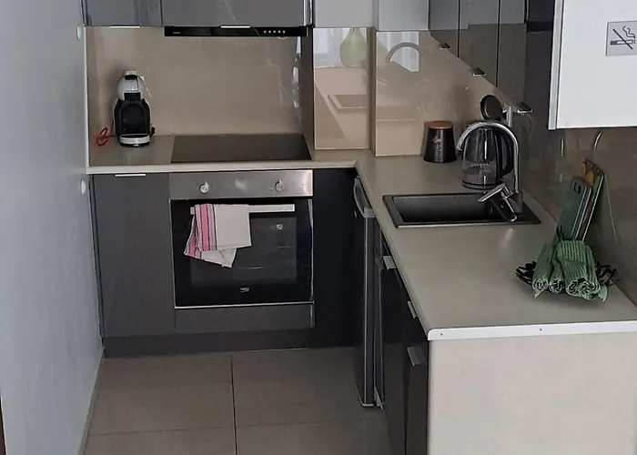 Apartament- Have A Day Apartment Lubin (Lower Silesia)